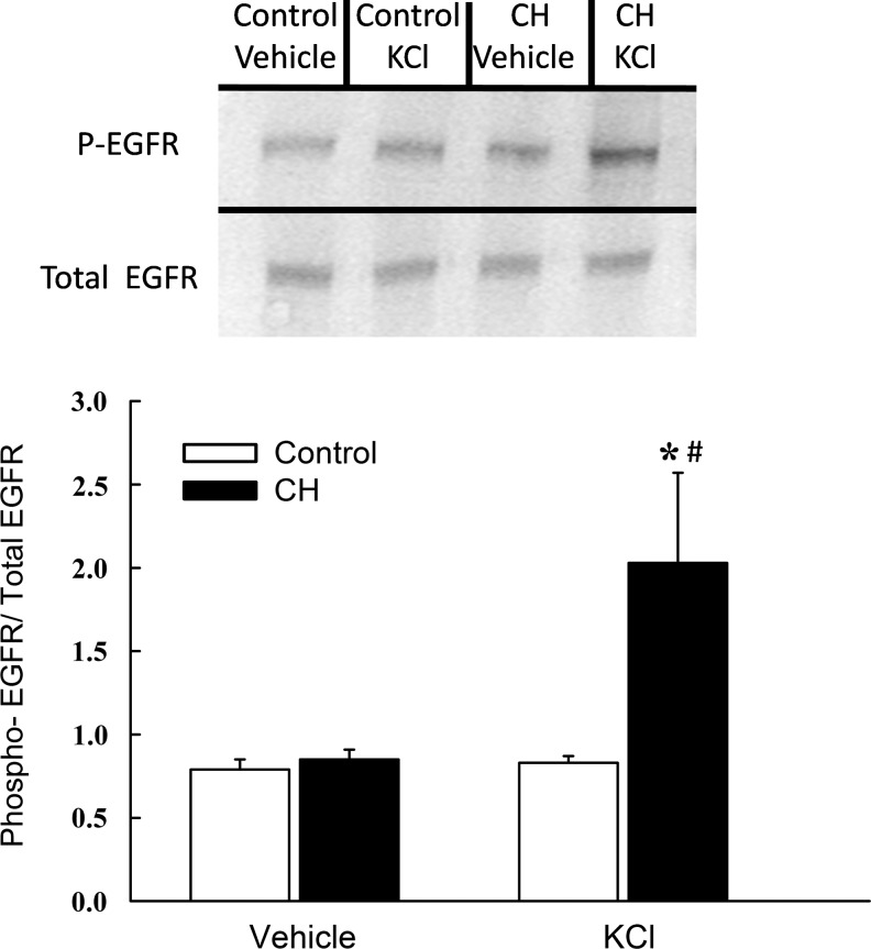 FIG. 10.