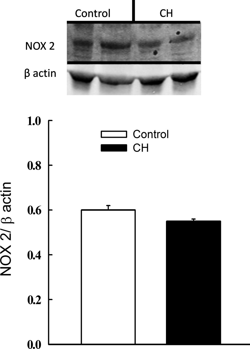 FIG. 7.