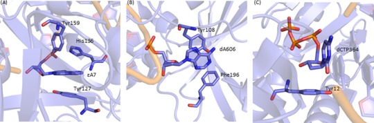 Figure 12.