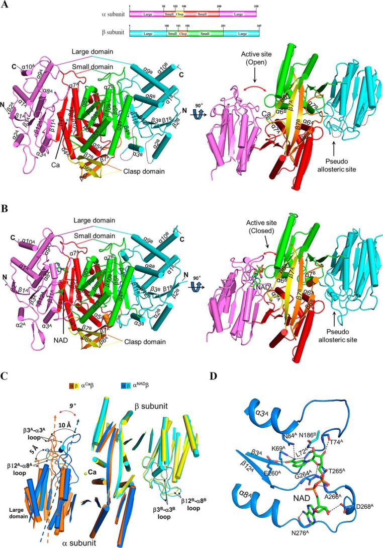 Figure 2.