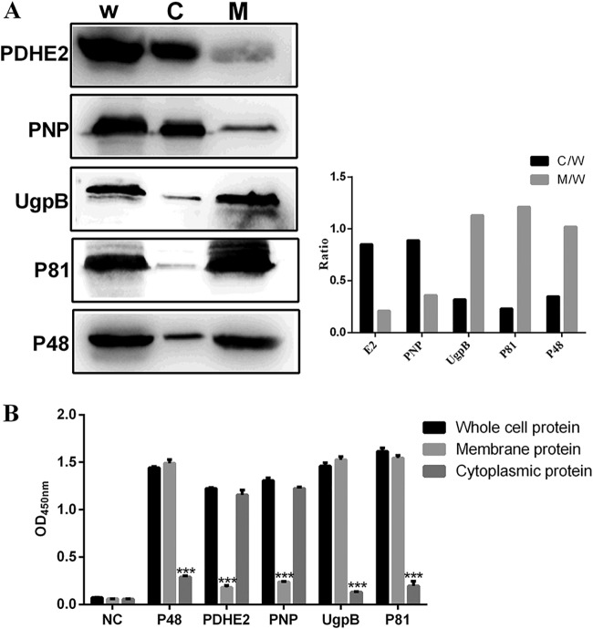 FIG 3