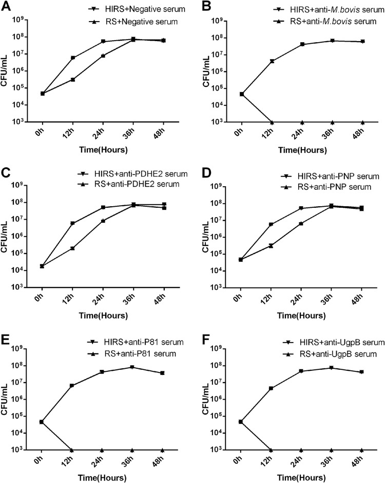 FIG 4