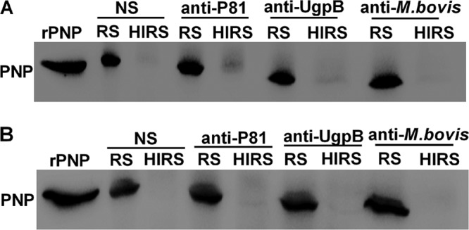 FIG 6