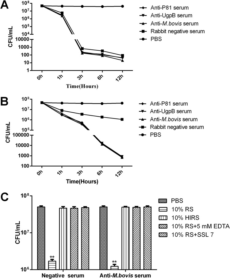 FIG 5