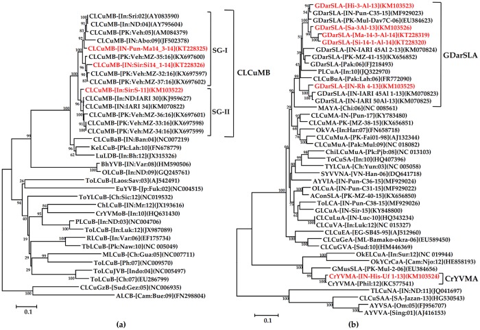 Fig 3