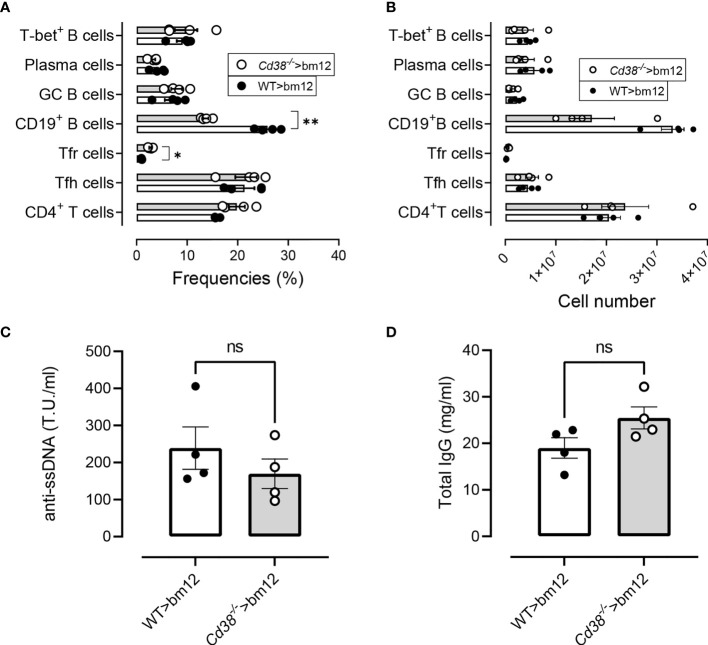 Figure 12