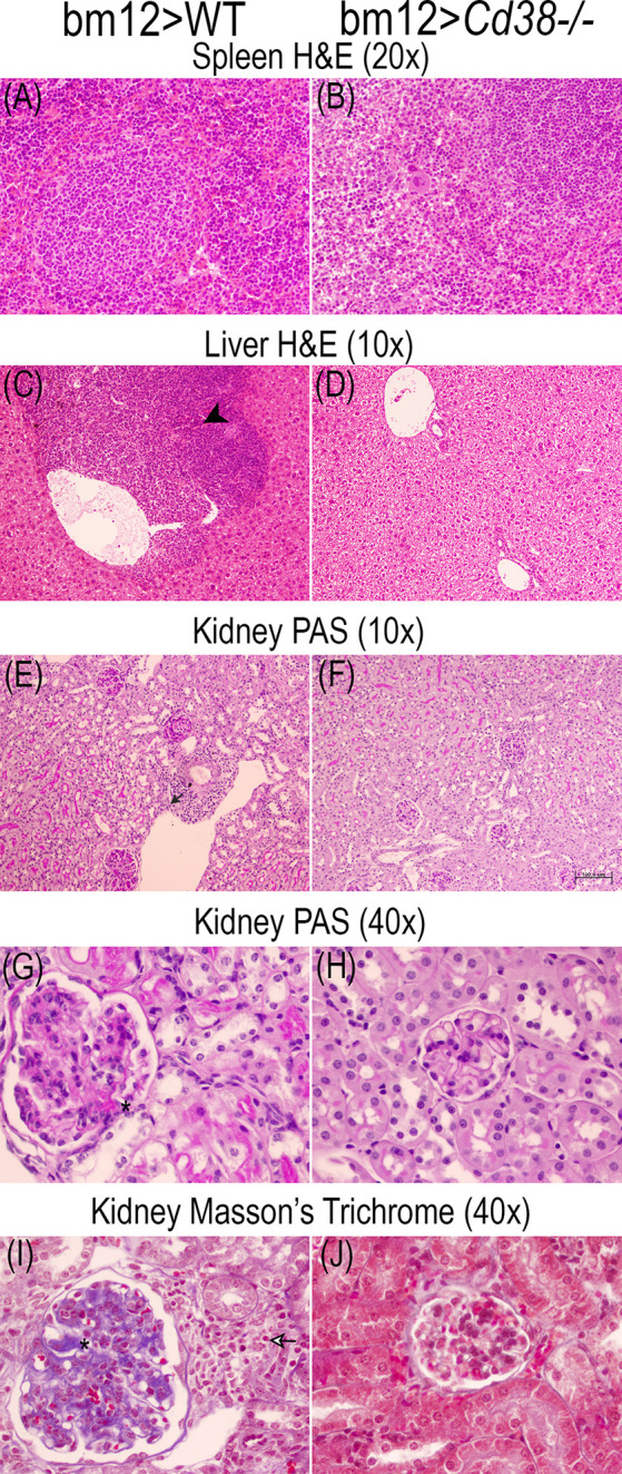 Figure 10