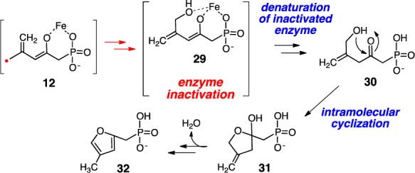 Scheme 5