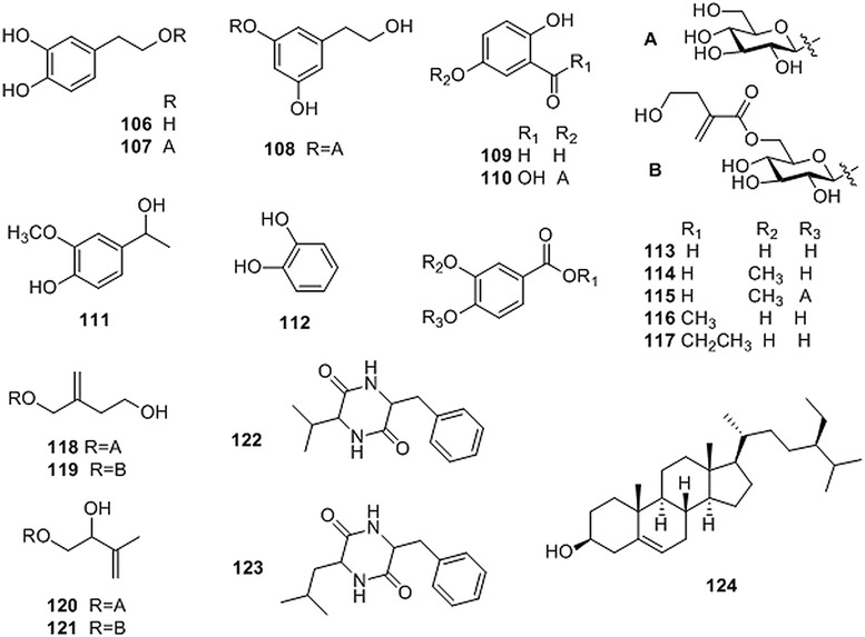 Coptidis rhizoma and its main bioactive components: recent advances in ...