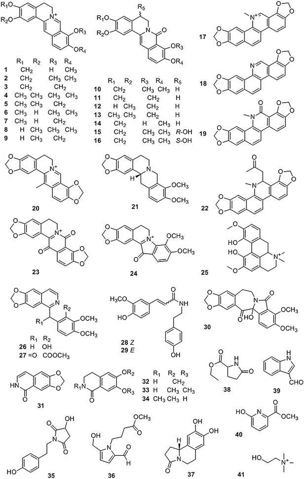 Fig. 1