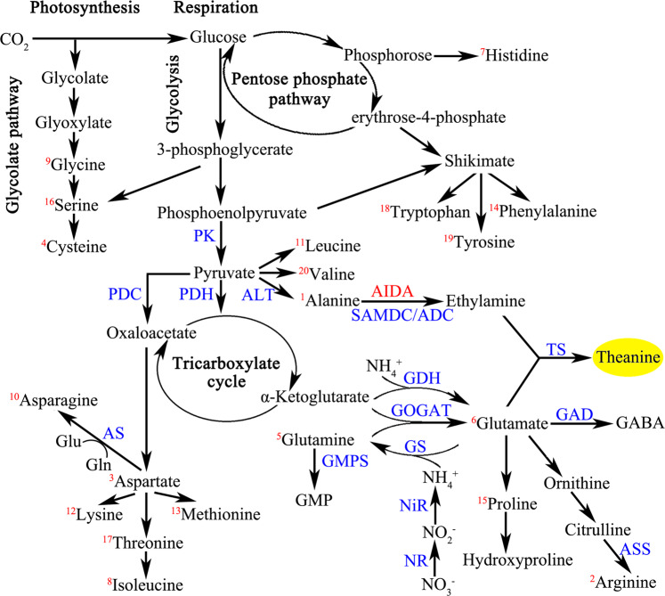 Fig. 3