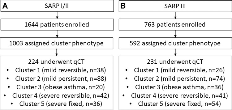 Flowcharts show the enrollment of the study cohort from the overall (A) Severe Asthma Research Program (SARP) I and II and (B) SARP III cohorts. qCT = quantitative CT.