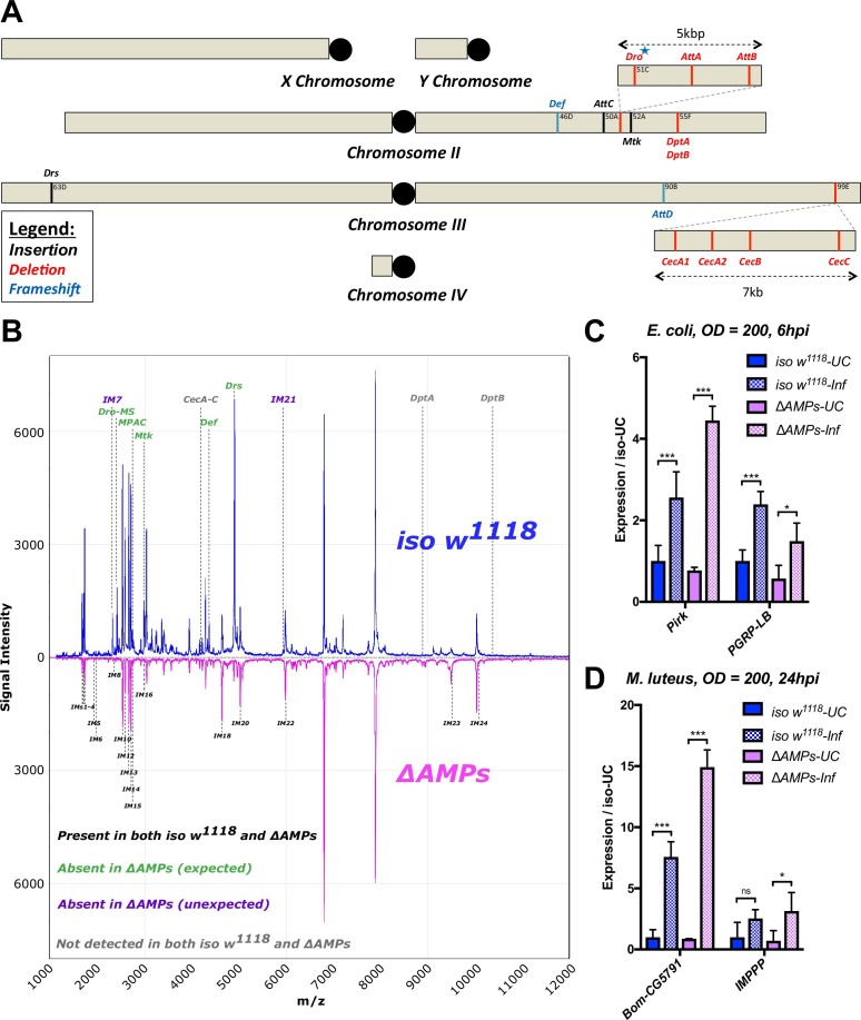 graphic file with name elife-48778-fig2.jpg