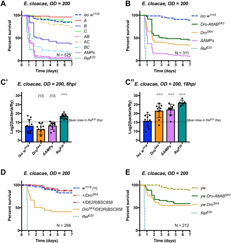 graphic file with name elife-48778-fig8.jpg