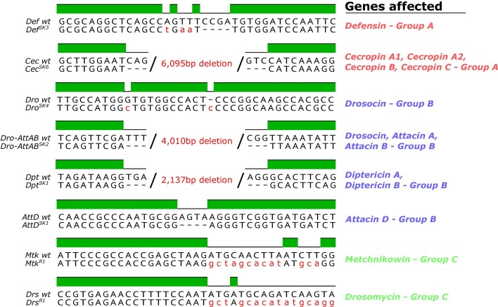 graphic file with name elife-48778-fig4.jpg