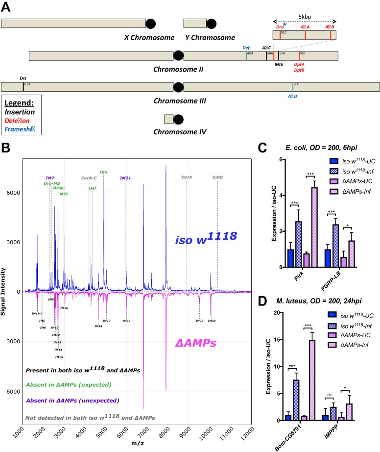 graphic file with name elife-48778-fig1.jpg