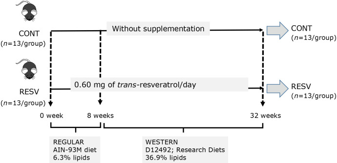 Fig. 1.