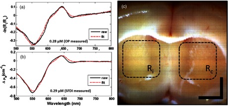 Fig. 4