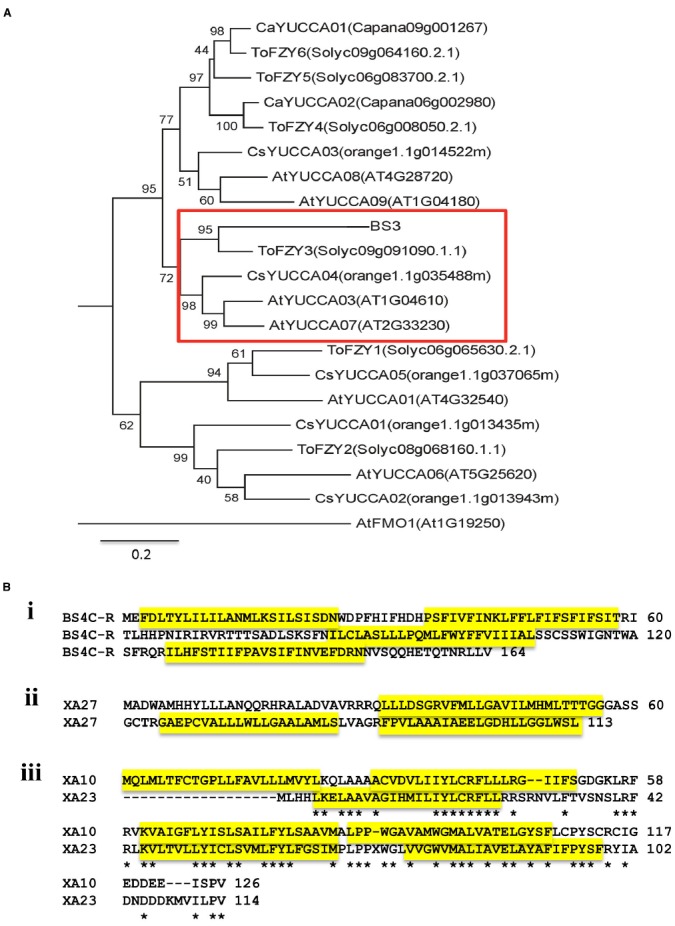 FIGURE 2