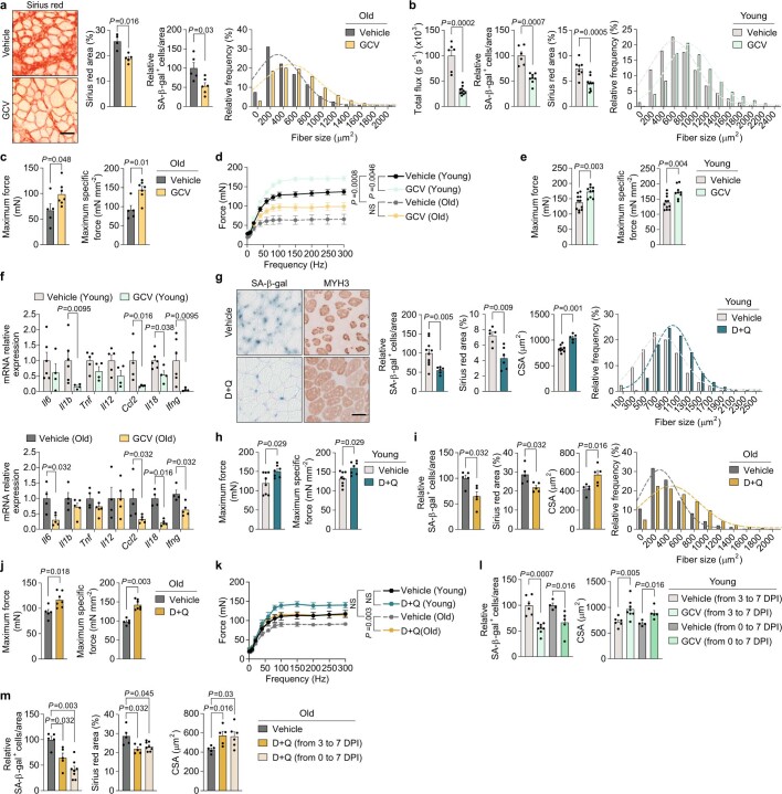 Extended Data Fig. 2