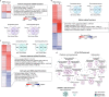 Extended Data Fig. 6