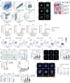 Extended Data Fig. 4