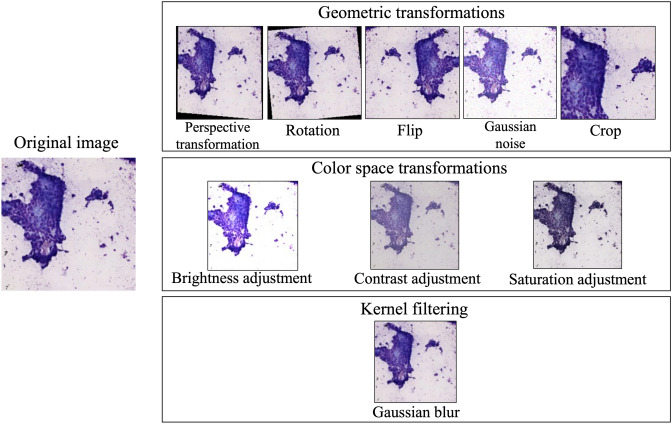 Figure 2