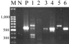 FIG. 2.