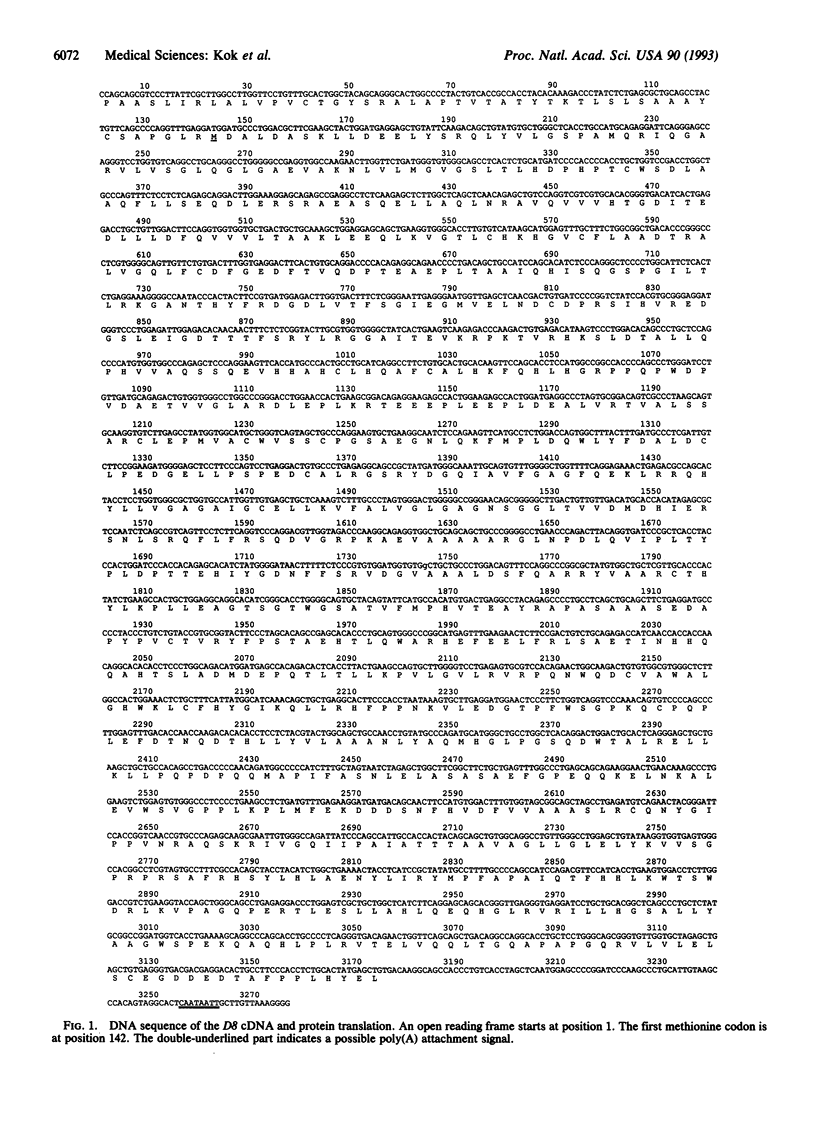6072