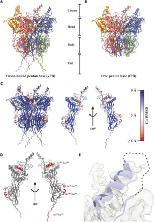 Fig. 4