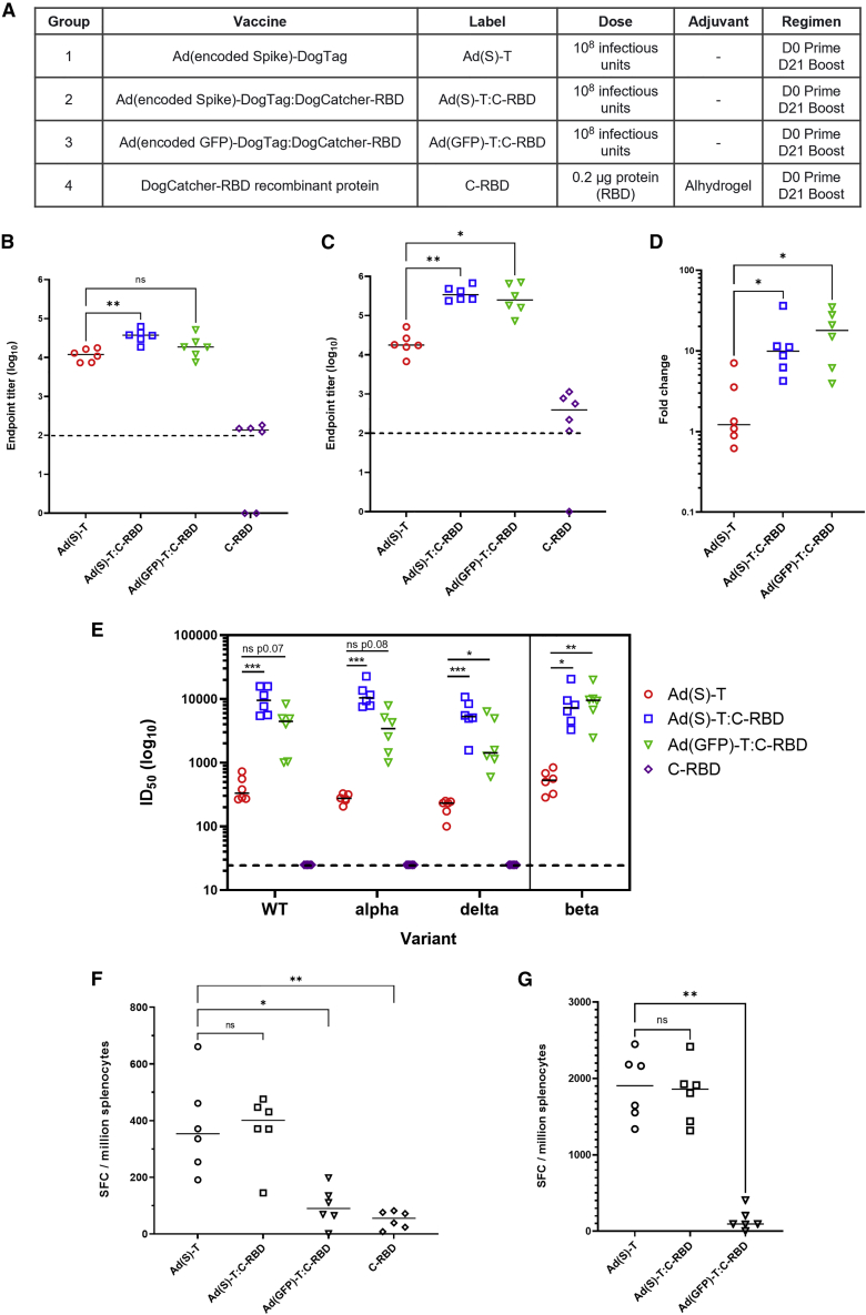 Figure 6