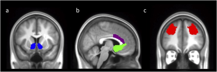 Fig. S4.