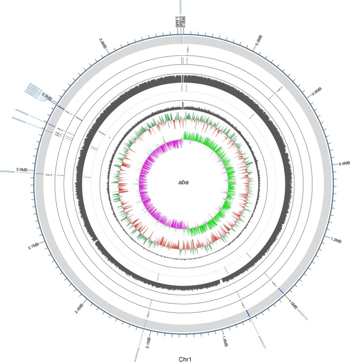 Figure 5