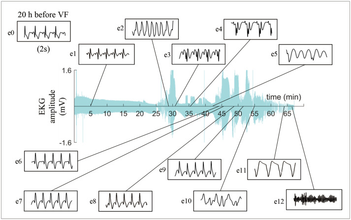 Fig. 2