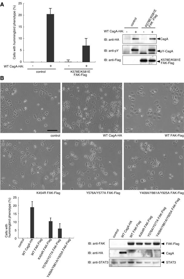 FIG.6.