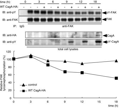 FIG. 7.