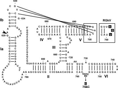 Fig. 5.