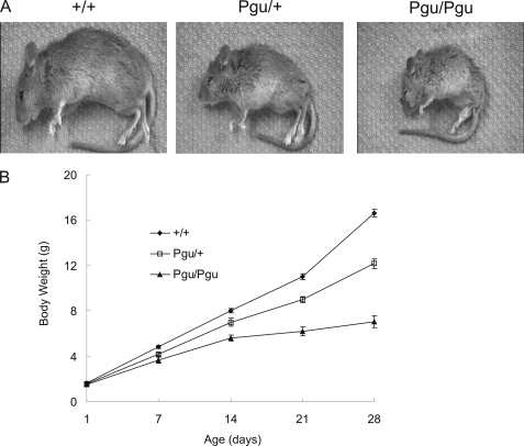 FIGURE 1.