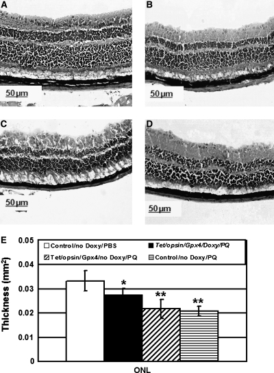 FIG. 5.