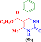 graphic file with name 41598_2021_89572_Figd_HTML.gif