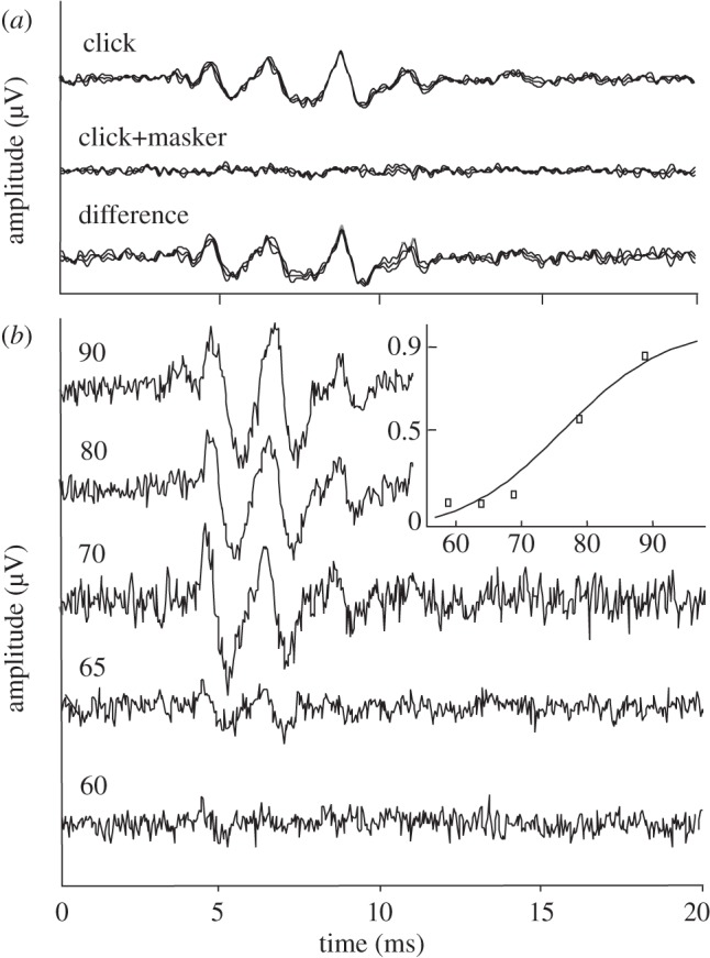 Figure 2.