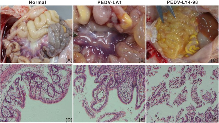 Fig. 3