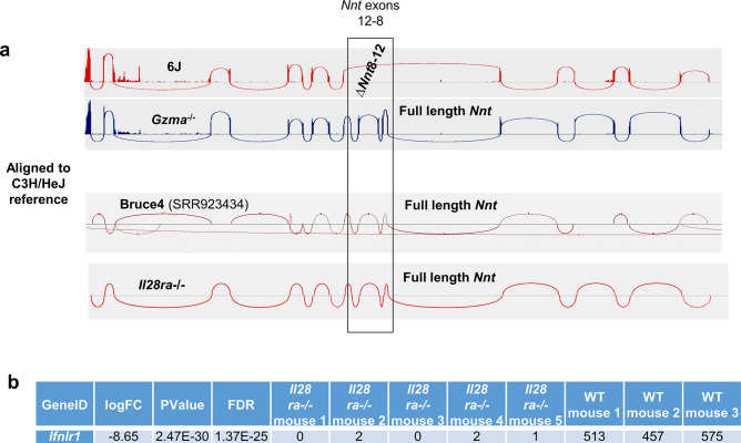 Figure 8—figure supplement 2.