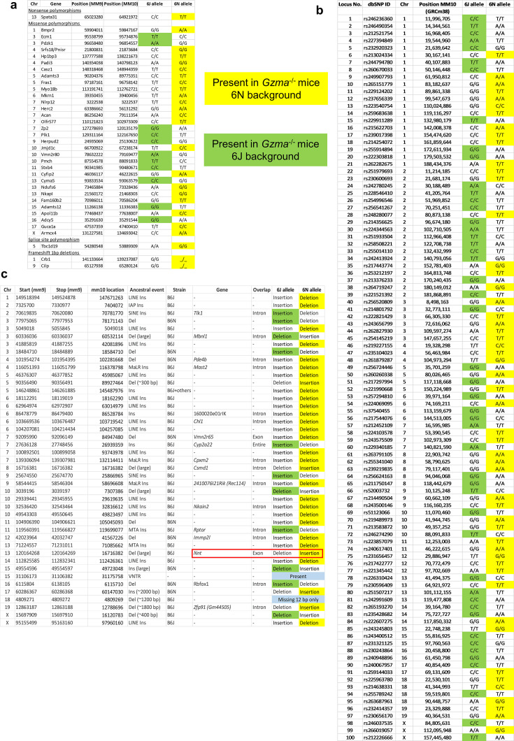 Figure 3—figure supplement 1.