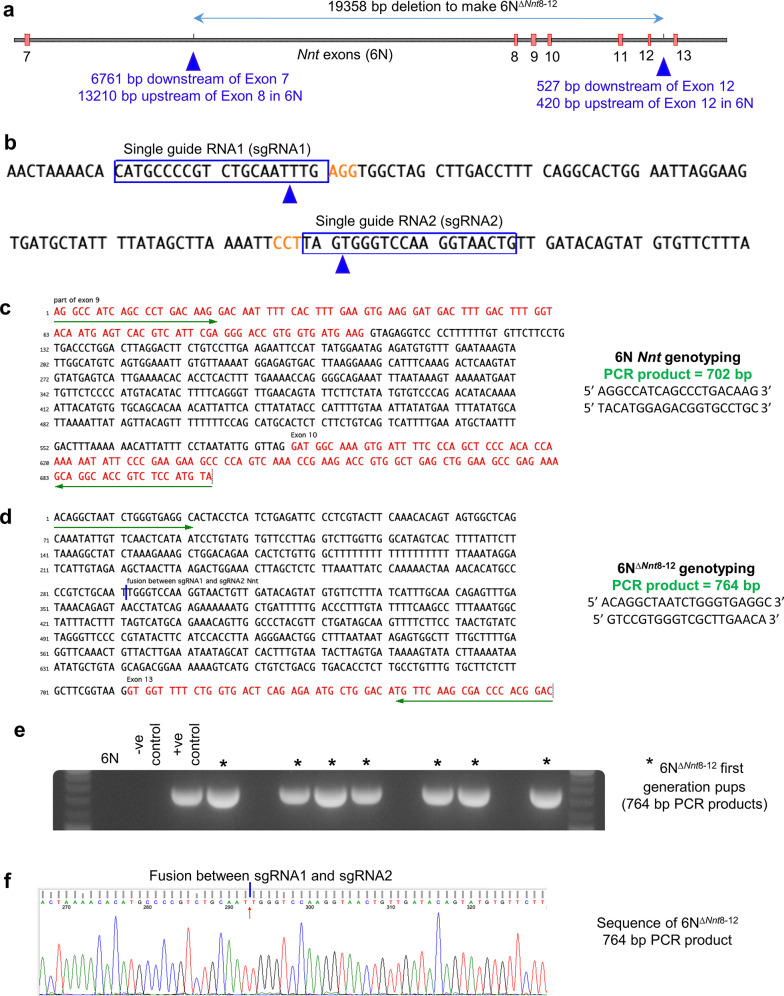 Figure 4—figure supplement 1.