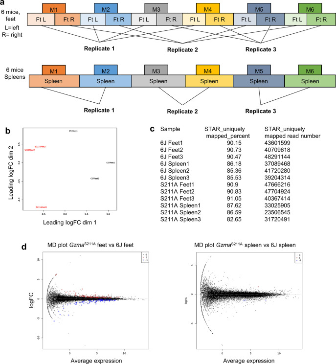 Figure 6—figure supplement 2.