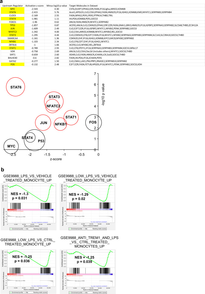 Figure 6—figure supplement 4.