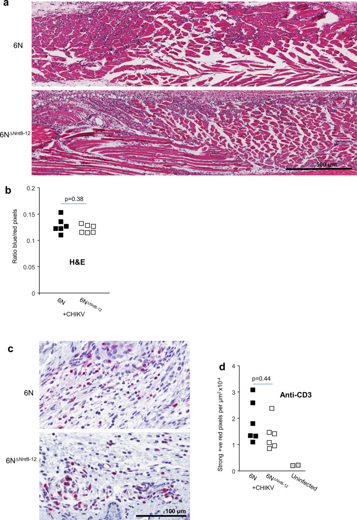 Figure 4—figure supplement 2.