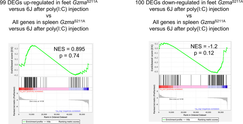 Figure 6—figure supplement 3.