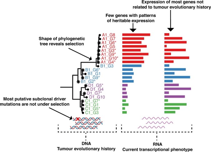 Extended Data Fig. 9